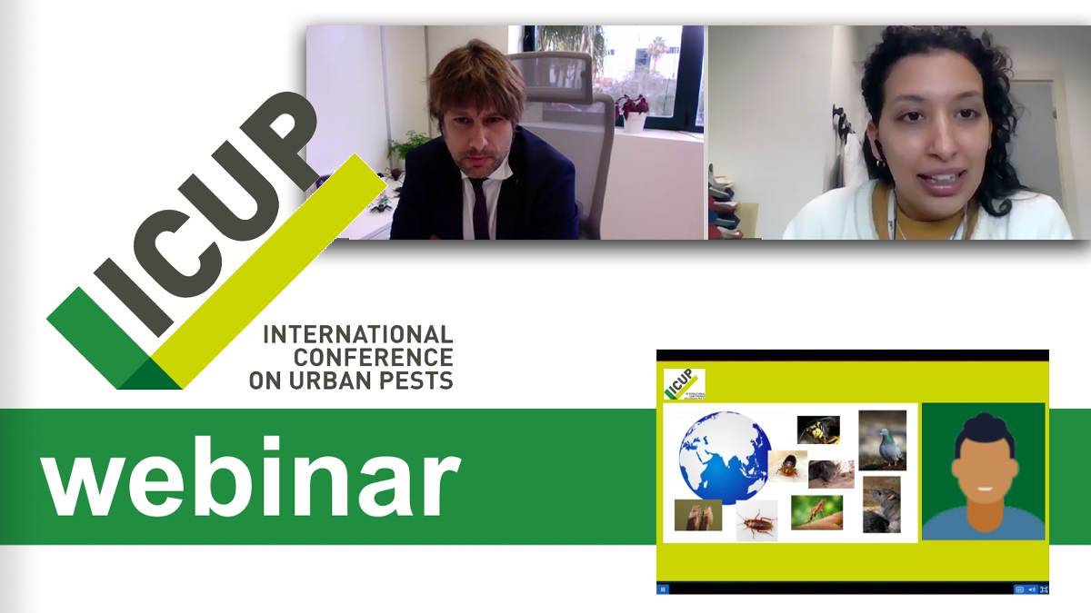 icup-webinar-success icup-webinar-success